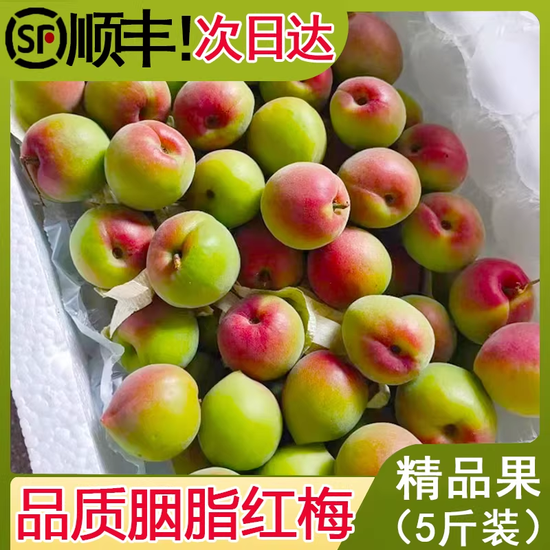 胭脂梅5斤鲜果青梅果新鲜青梅素酵梅子孕妇水果云南脆梅现摘野生