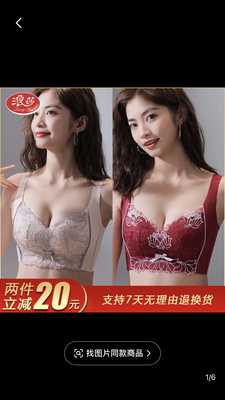 S浪莎宫廷刺绣调整型文胸上托收副乳无钢圈小胸聚拢内衣夏薄DS888