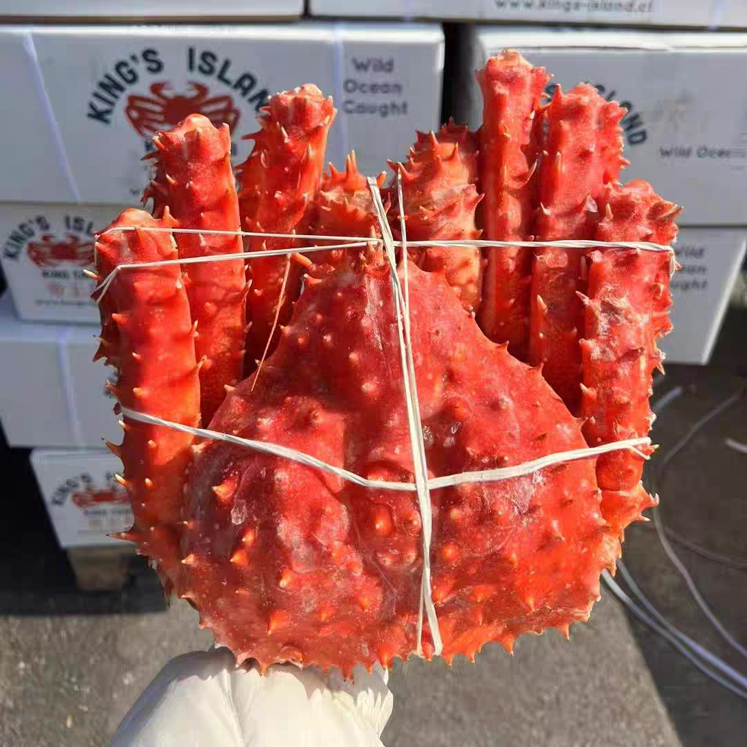【济南闪送】智利帝王蟹冷冻12帝王蟹