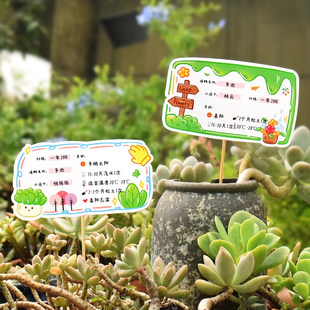 植树节手工diy植物树木挂牌幼儿园环创布置自然角盆栽绿植多肉名片标签介绍说明卡创意小树苗标示种植养护卡