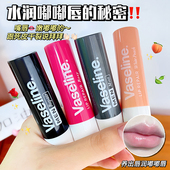 Vaseline凡士林润唇膏滋养修护缓解唇部干裂唇膜淡化唇纹滋润保湿