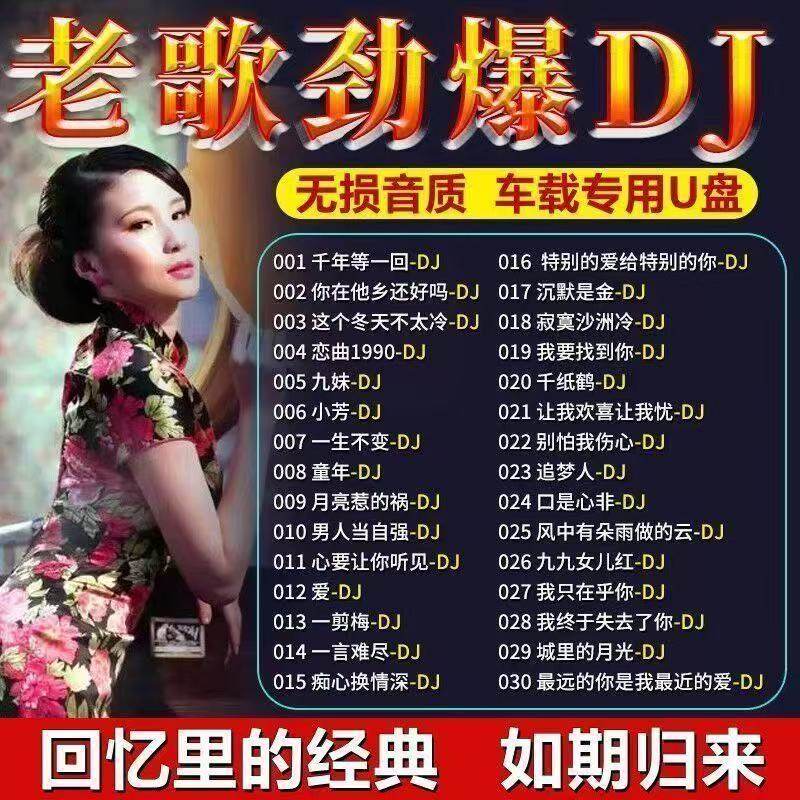 老歌DJ车载音乐U盘精选成名金曲全dj百听不腻老歌网红新唱无损MP3_虎窝淘
