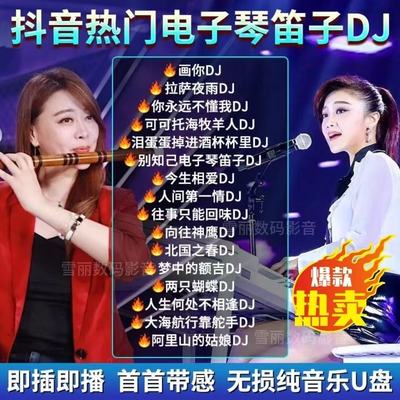 电子琴DJ轻纯音乐流行劲爆重低音旋律节奏无损高音质车载u盘mp3