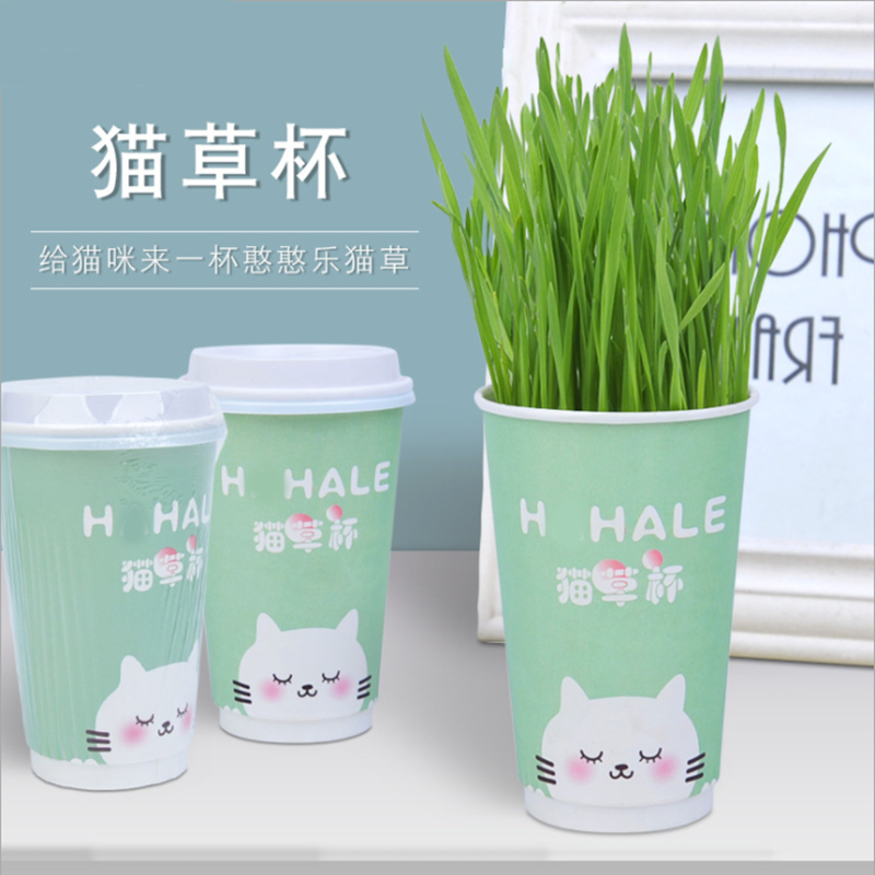 猫薄荷种子包邮 图片 价格 多少钱 什么值得买 猫薄荷种子包邮 图片 价格 多少钱 什么值得买