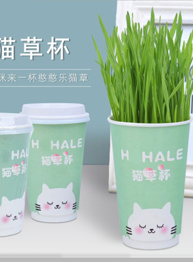 猫草盆栽种子 种植盆一杯套装水培猫薄荷土壤包邮化毛膏猫咪专用