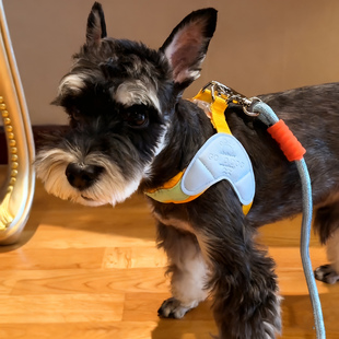 狗狗胸背带背心式狗绳多巴胺狗狗Y字型马鞍胸背小型犬透气牵引绳