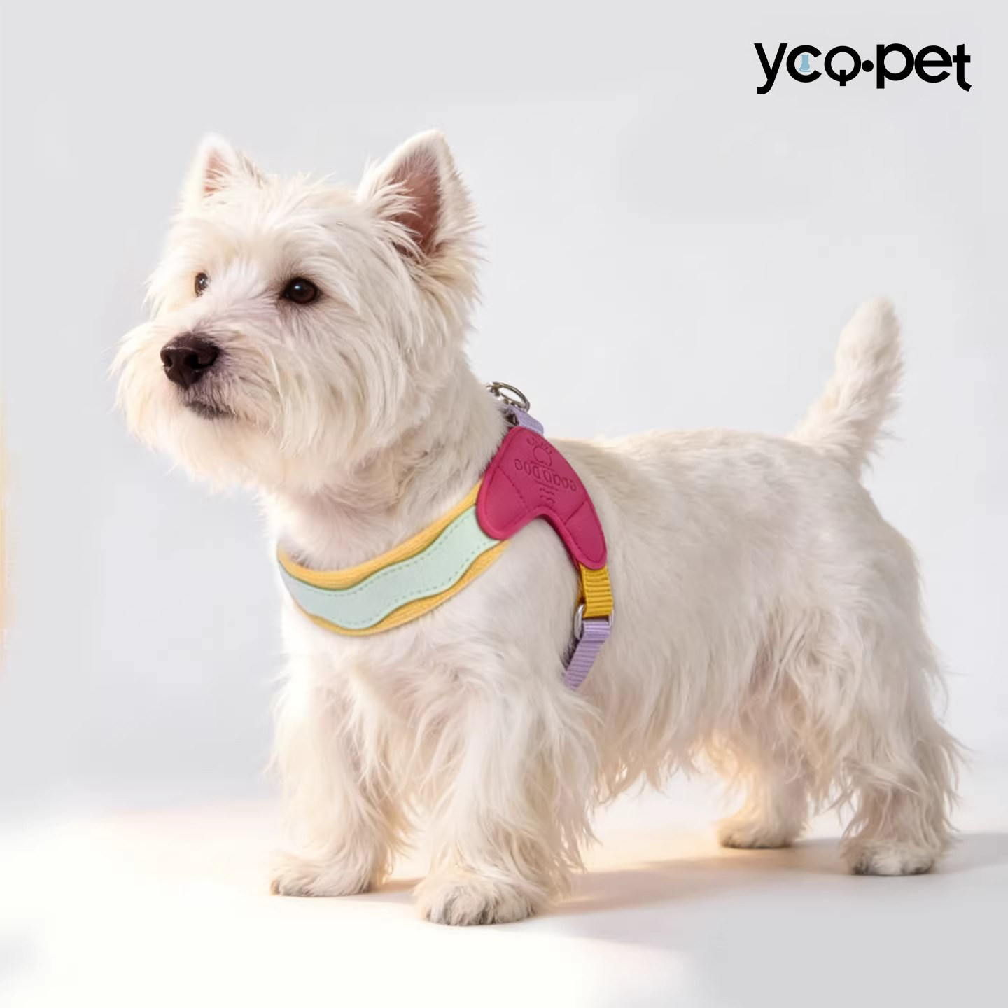 狗狗胸背带背心式狗绳多巴胺狗狗Y字型马鞍胸背小型犬透气牵引绳