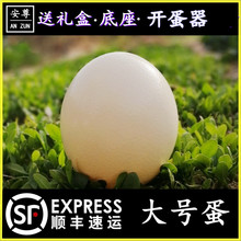 包邮 顺丰 鸵鸟蛋超特大号新鲜食用蛋鸸鹋蛋端午节大小鸵鸟苗雏幼崽