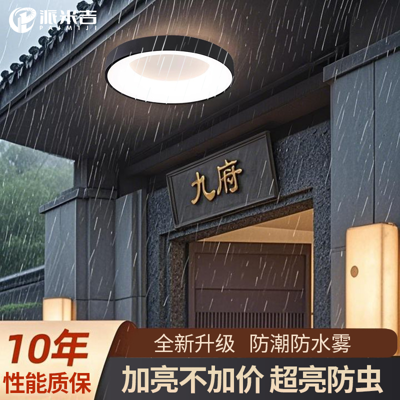 高级感别墅大门口吸顶灯-防蚊虫
