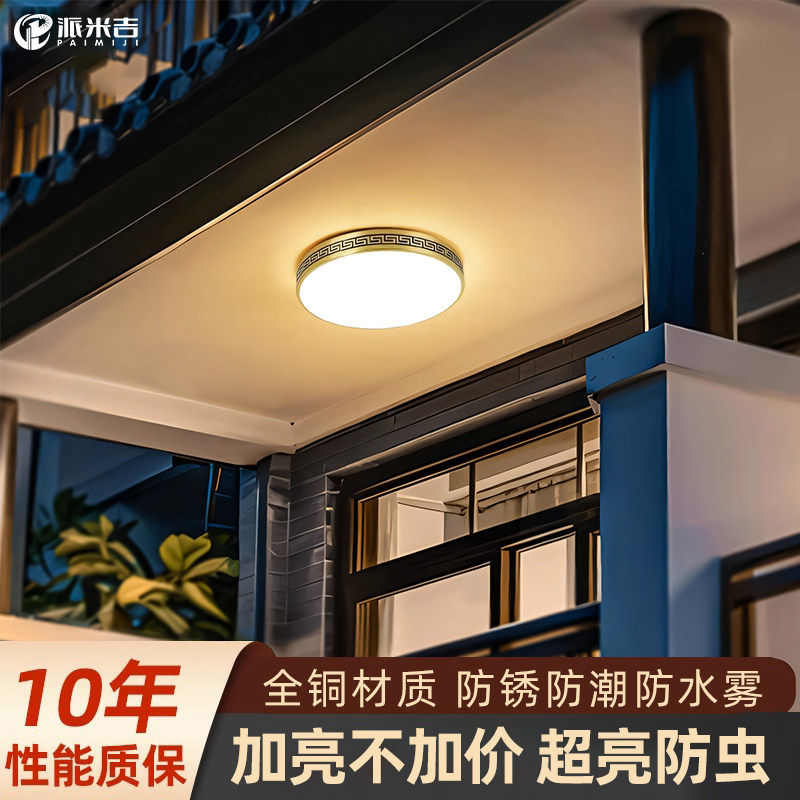 别墅大门口吸顶灯全铜新中式室外入户灯屋簷庭院户外阳台照明灯具