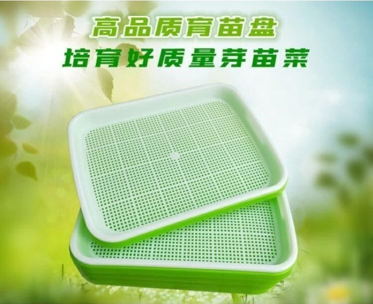 绿豆芽生种豆芽发芽盆育苗神器盒培育器豆苗种植盘家用的容器自制