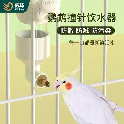 威毕鸟用饮水器鸟喝水壶中小型鹦鹉撞针水壶龙猫芦丁鸡自动喂水器