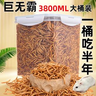 仓鼠粮食零食面包虫干黄粉虫干金丝熊孕期营养零食大礼包刺猬食物