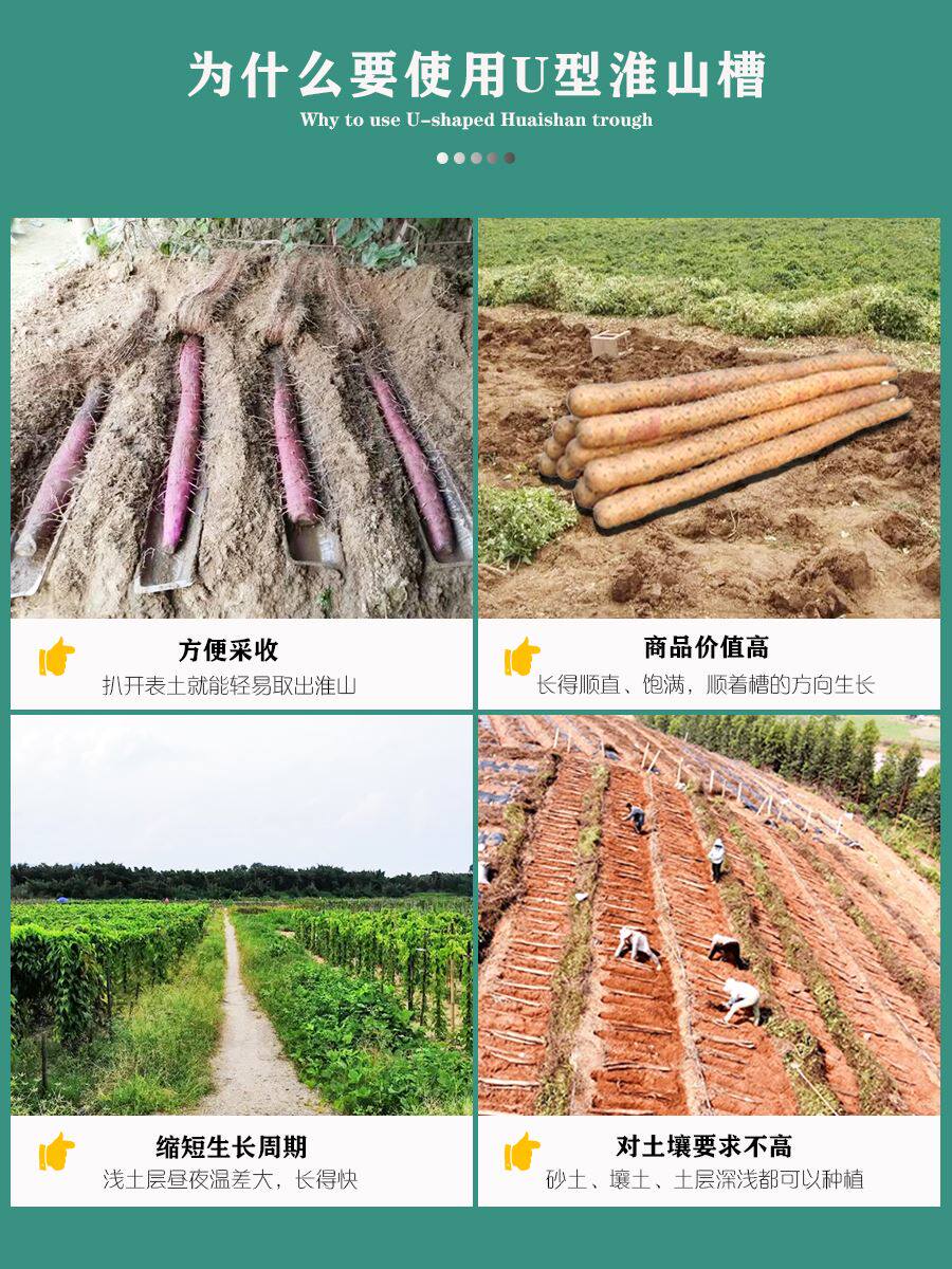 淮山种植槽加厚种山药模具 山药种植模具山药种植槽淮山种植u型槽