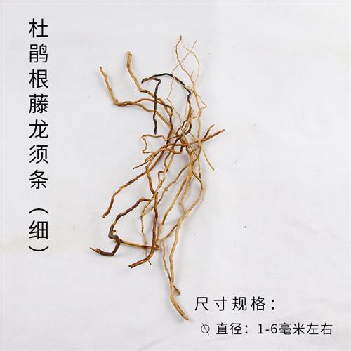 造景藤条龙须根杜鹃根枝条水草沉木须根细枝南美缸树枝微景观图片