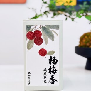 杨梅香 凤凰单丛 鲜爽果酸感 香气内敛 125g/罐