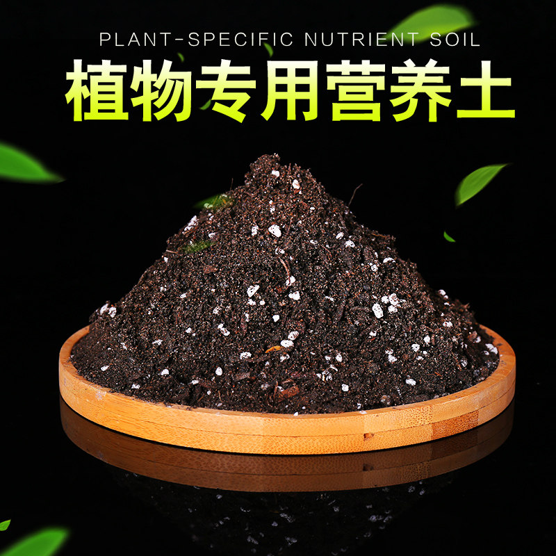园艺新款用品土营养液月季大肥王喷壶陶粒五彩石花卉植物通用肥料