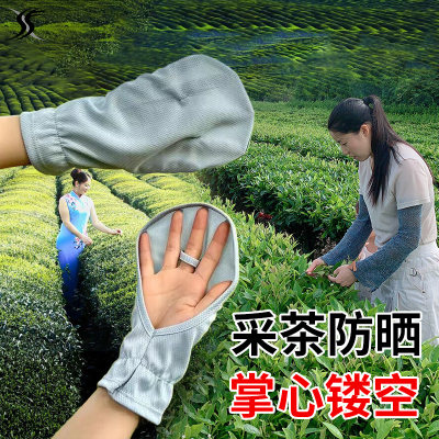 采茶专用手套女士夏季摘茶叶薄款