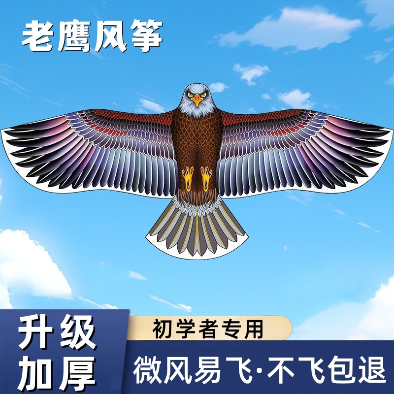 老鹰风筝大人专用2024年新款潍坊大型高档仿真微风易飞高质量大号