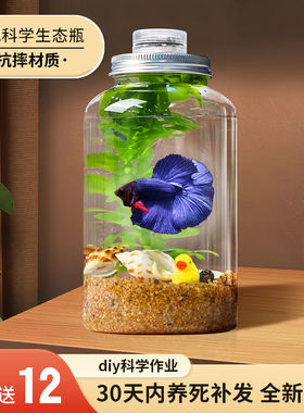 创意水族箱微景观生态瓶造景斗鱼缸办公桌面生态缸DIY造景鱼缸