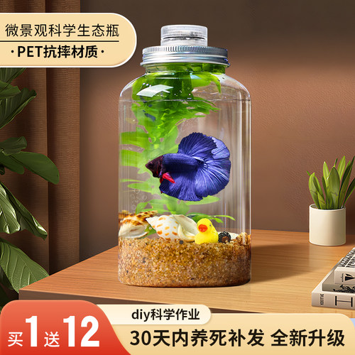 创意水族箱微景观生态瓶
