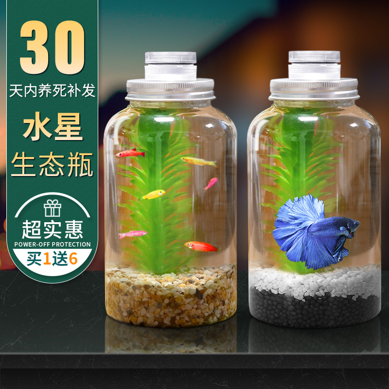 创意水族箱微景观生态瓶造景斗鱼缸办公桌面生态缸DIY造景鱼缸