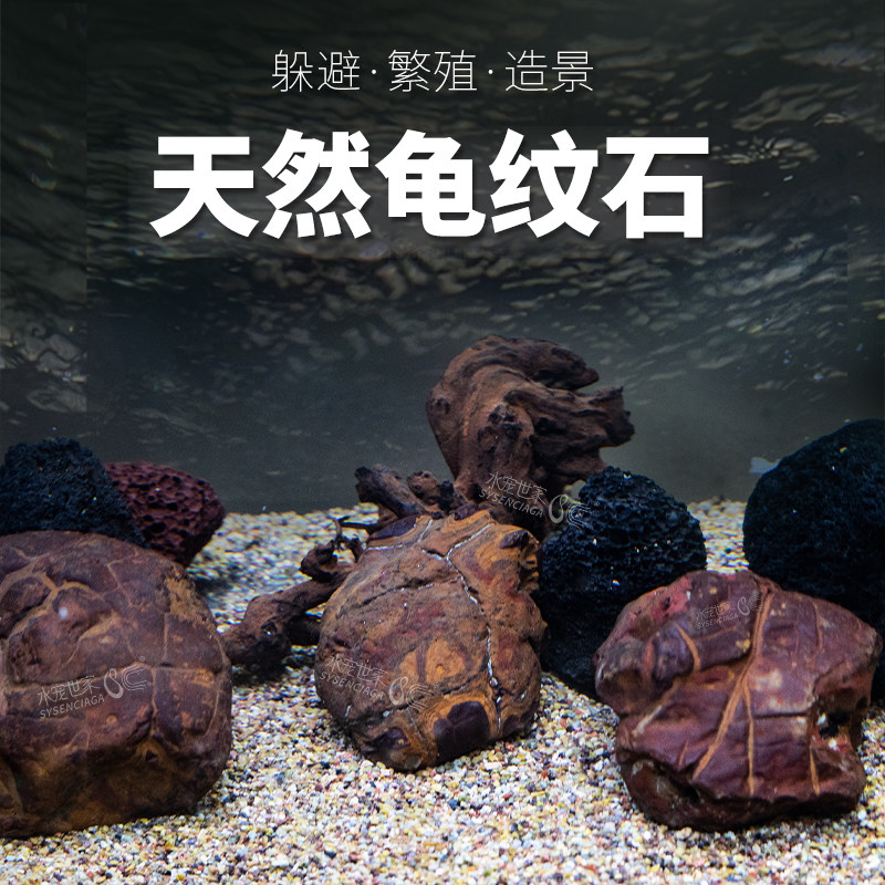 龟纹石 小块原石假山盆景附石水族鱼缸盆栽装饰造景石 小石头摆件