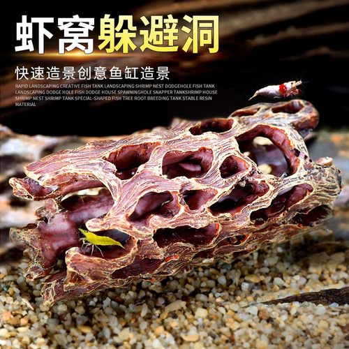鱼缸造景虾窝洞躲避屋异形繁殖