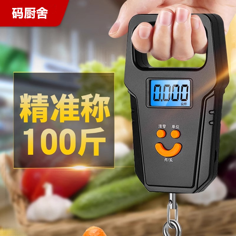 德国手提电子秤50kg精准高精度迷你便捷式家用小型买菜弹簧称手提