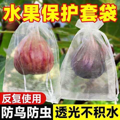 水果套袋果树防鸟防虫纱网袋葡萄无花果番石榴枇杷桃草莓保护袋子