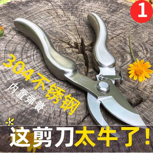 日本剪树枝专用剪刀修枝剪不锈钢园艺花草葡萄果树摘果植物剪