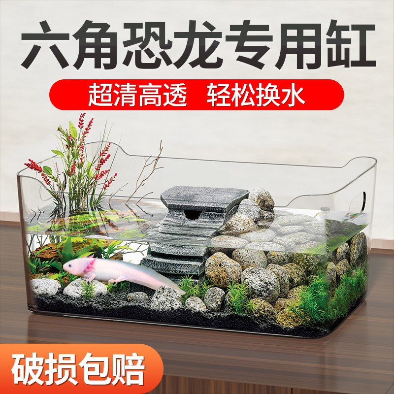 德国六角恐龙专用缸蝾螈饲养缸长方形生态亚克力鱼缸客厅小型家用