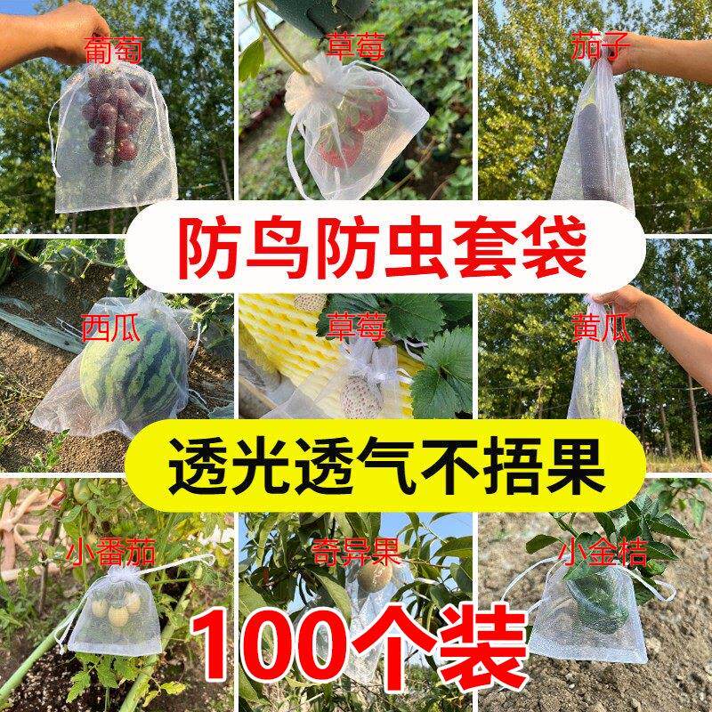 水果套袋果树防鸟防虫纱网袋葡萄无花果番石榴枇杷桃草莓保护袋子