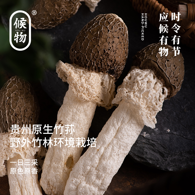 候物贵州黑帽竹荪杆粗肉厚无硫