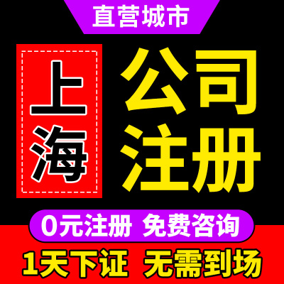 上海市松江区公司注册营业执照代办免费核名个体电商户变更经营异