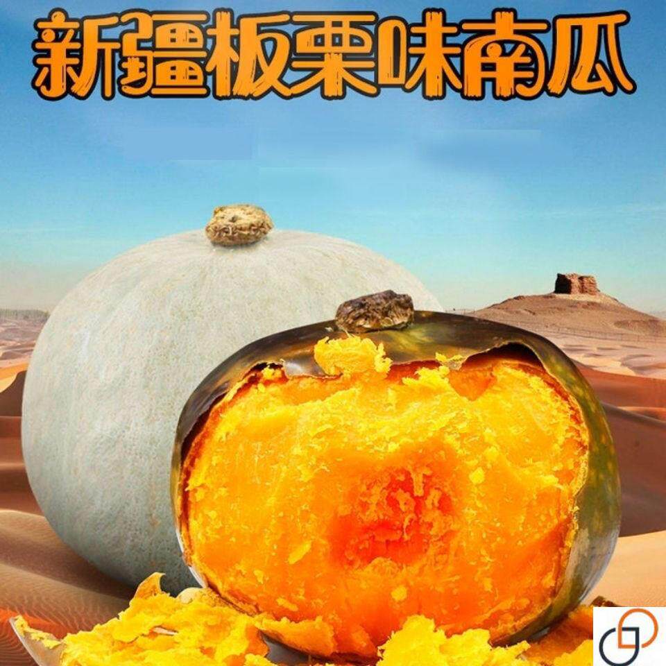 银栗板栗南瓜种子新疆贵族灰皮南瓜种籽四季蔬菜瓜种贝贝迷你南瓜