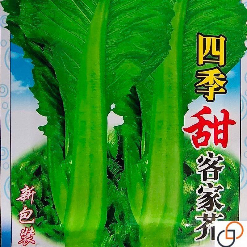 四季甜客家芥菜种子芥菜蔬菜种子夏秋大田菜园叶子菜青菜正品原装