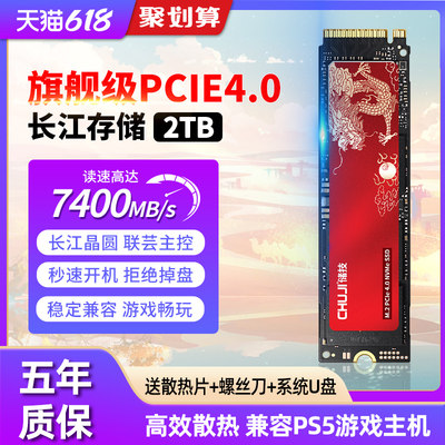 储技长江固态硬盘1t长江存储M2 PCIe4.0 SSD笔记本PS5台式电脑2tb