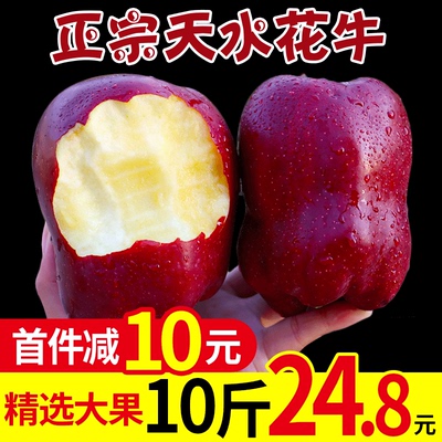 甘肃天水花牛苹果10斤包邮新鲜当季红蛇果整箱刮泥水果甜粉