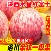 Authentic Shaanxi Red Fuji apples fresh 10 jins season full box of crisp sweet ugly apples free shipping Ping An fruit rock candy heart