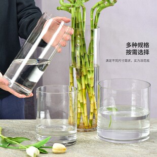 直桶大口径玻璃龙柳花瓶富贵竹水培植物落地摆件直筒客厅插花水培