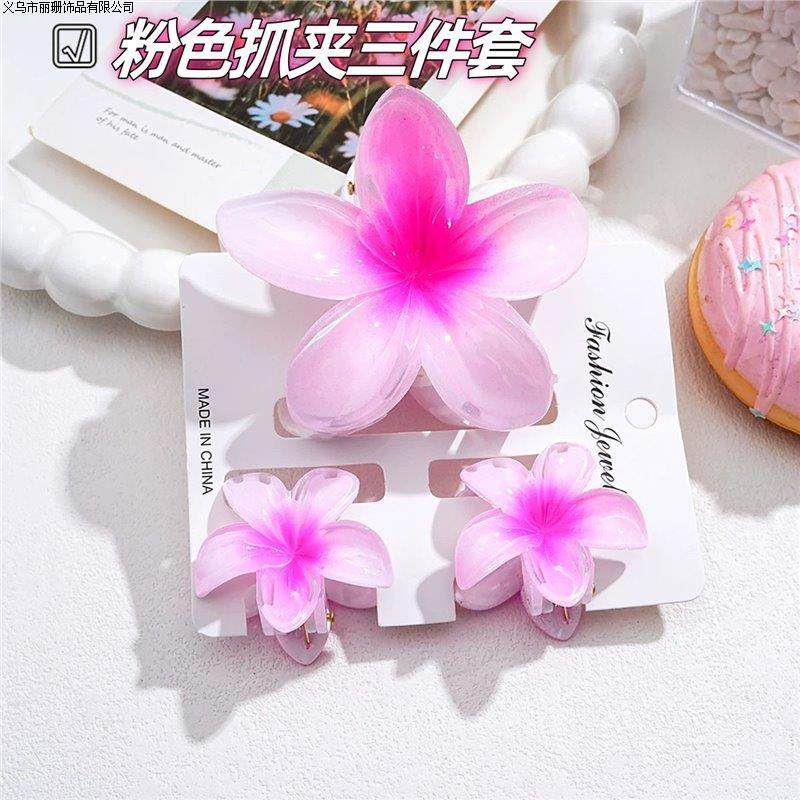 欧美爆款套装鸡蛋花抓夹卡装彩色