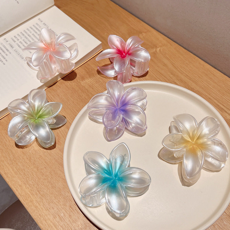 2024年新款鸡蛋花欧美新款百搭气质简约高级感抓夹网红同款夹