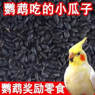 鹦鹉鸟粮饲料带壳黄谷子五色黍子