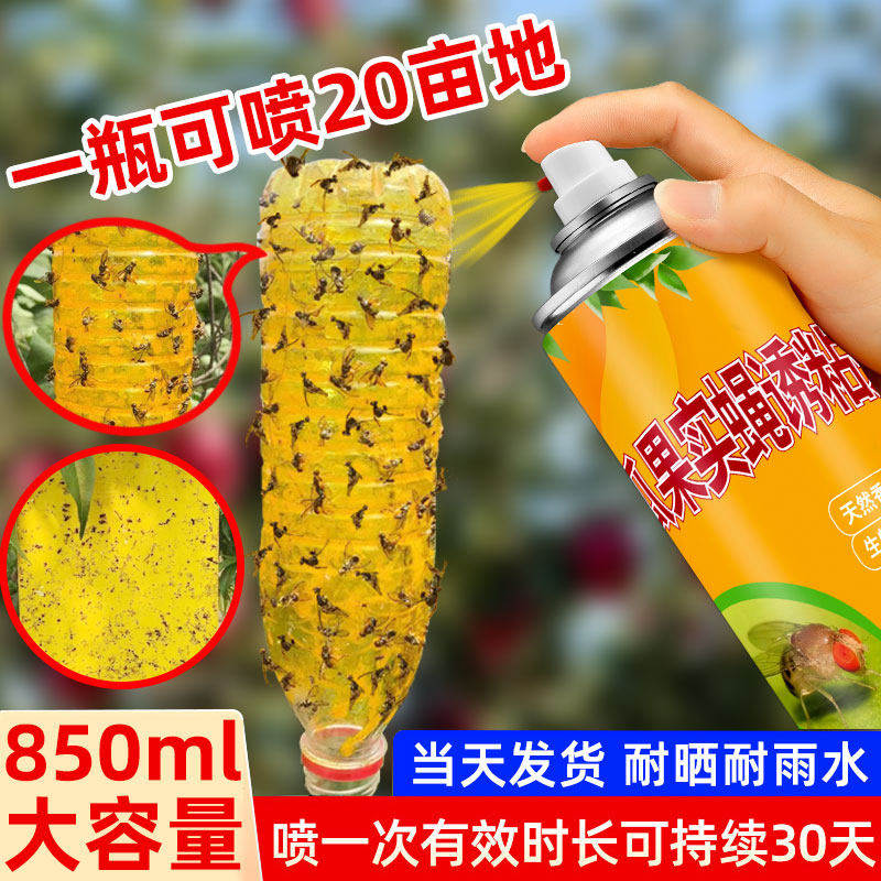 瓜果实蝇诱粘剂果蝇诱捕器神器果树杀虫剂灭针蜂药果实蝇引诱剂