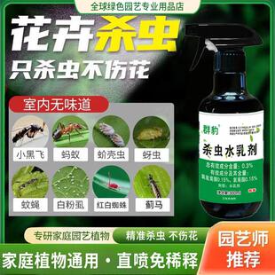 『一喷无虫』植物杀虫剂喷雾花卉小飞虫绿植花草花盆驱虫果树蔬菜