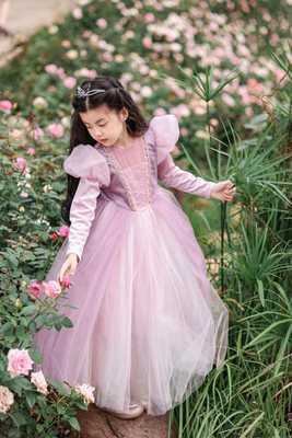 女童乐佩公主裙冬圣诞节生日礼服