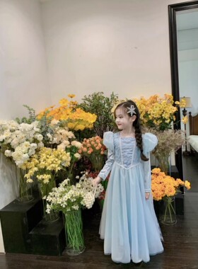 冰雪奇缘爱莎公主裙2025年秋冬女童高端礼服裙女宝蓝色生日连衣裙