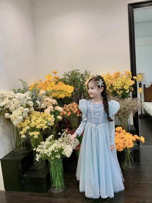 女童爱莎公主裙秋冬生日演出礼服