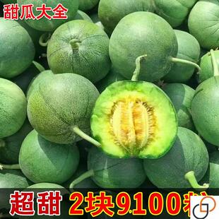 正品绿宝石甜瓜种籽日本甜宝冰糖子羊角蜜甜瓜种子丑八怪香瓜种孑